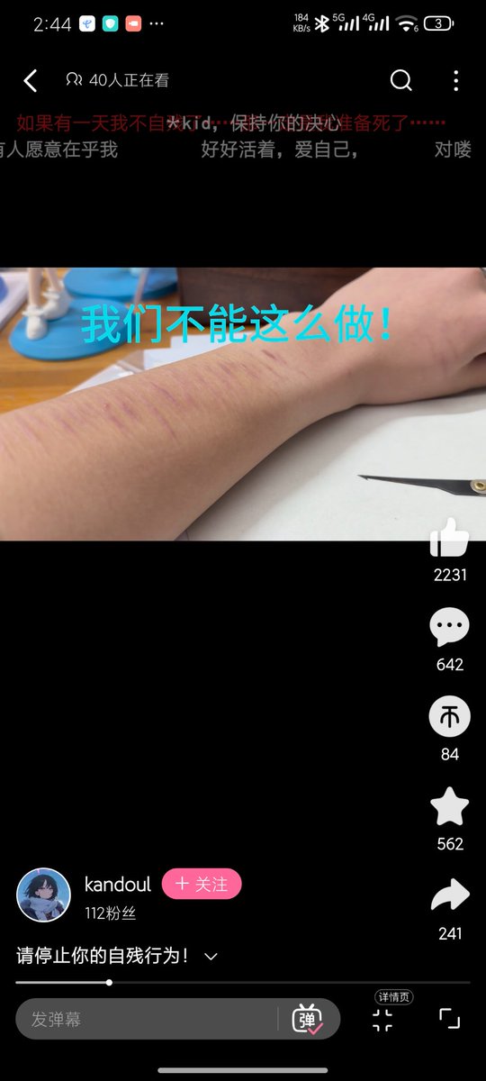 ❄️❄️圣三一第一步枪 vanitas 🍥 💊 tweet media