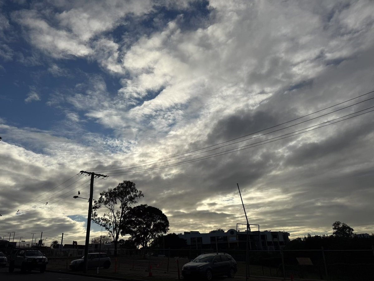 Jenarry(不互推,不接广,不骗人) tweet media