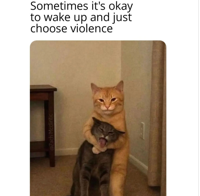 Otto Palindrome tweet media