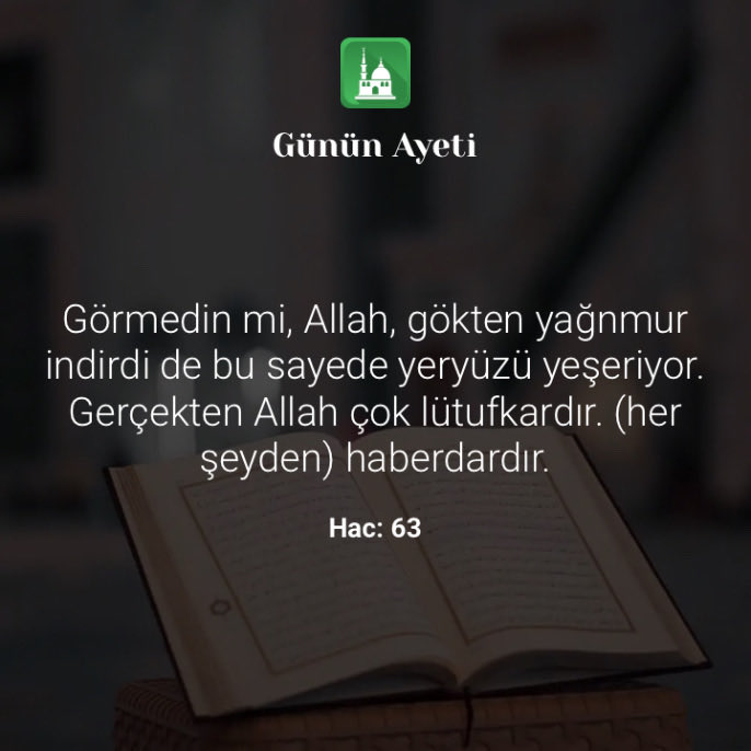 Mahmut POLAT tweet media