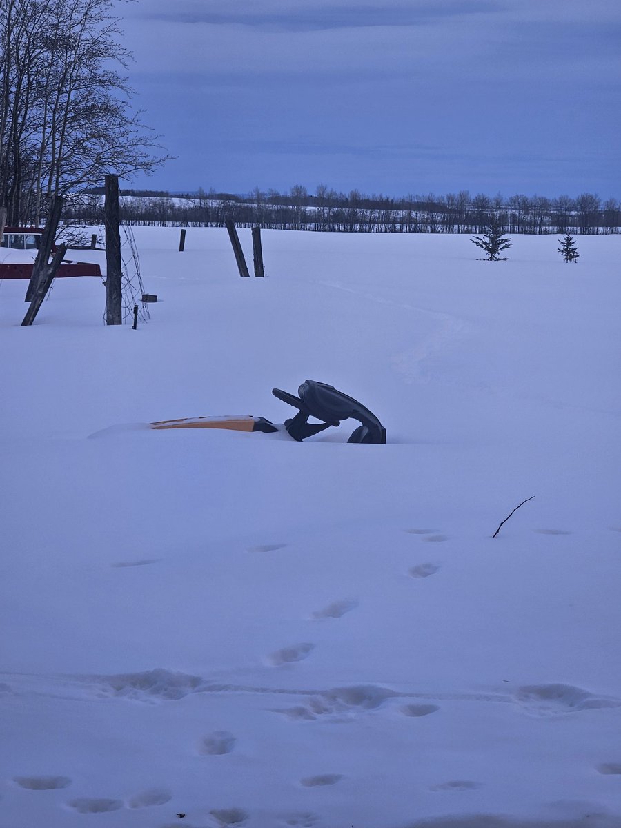 The Old Haney Place tweet media