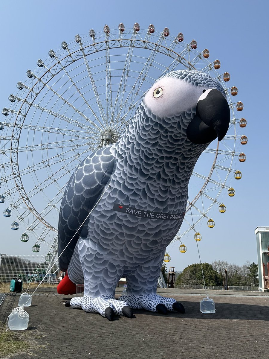 ドラえもん tweet media