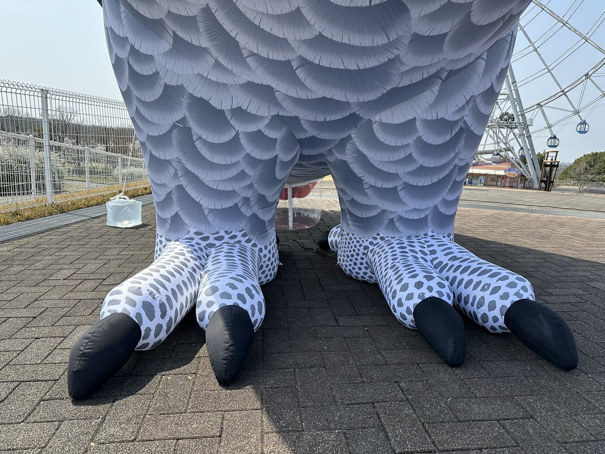 ドラえもん tweet media