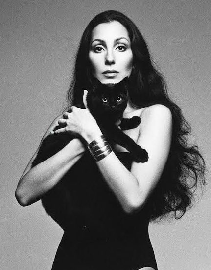 Cher Universe tweet media