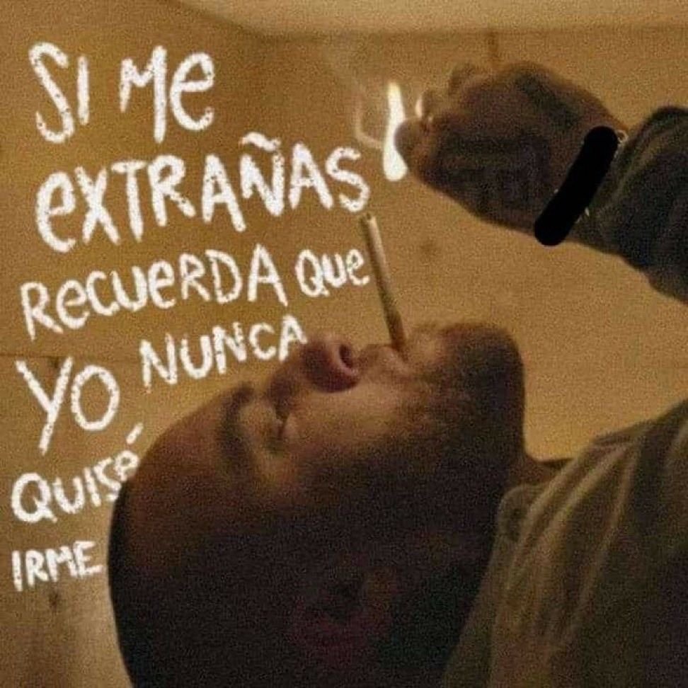 Tu bro de confianza tweet media