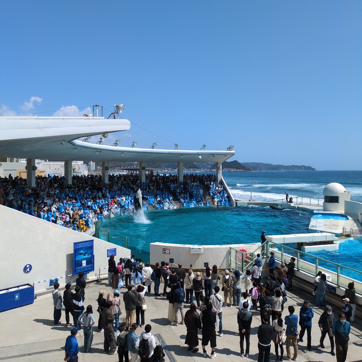 うしろめたい tweet media