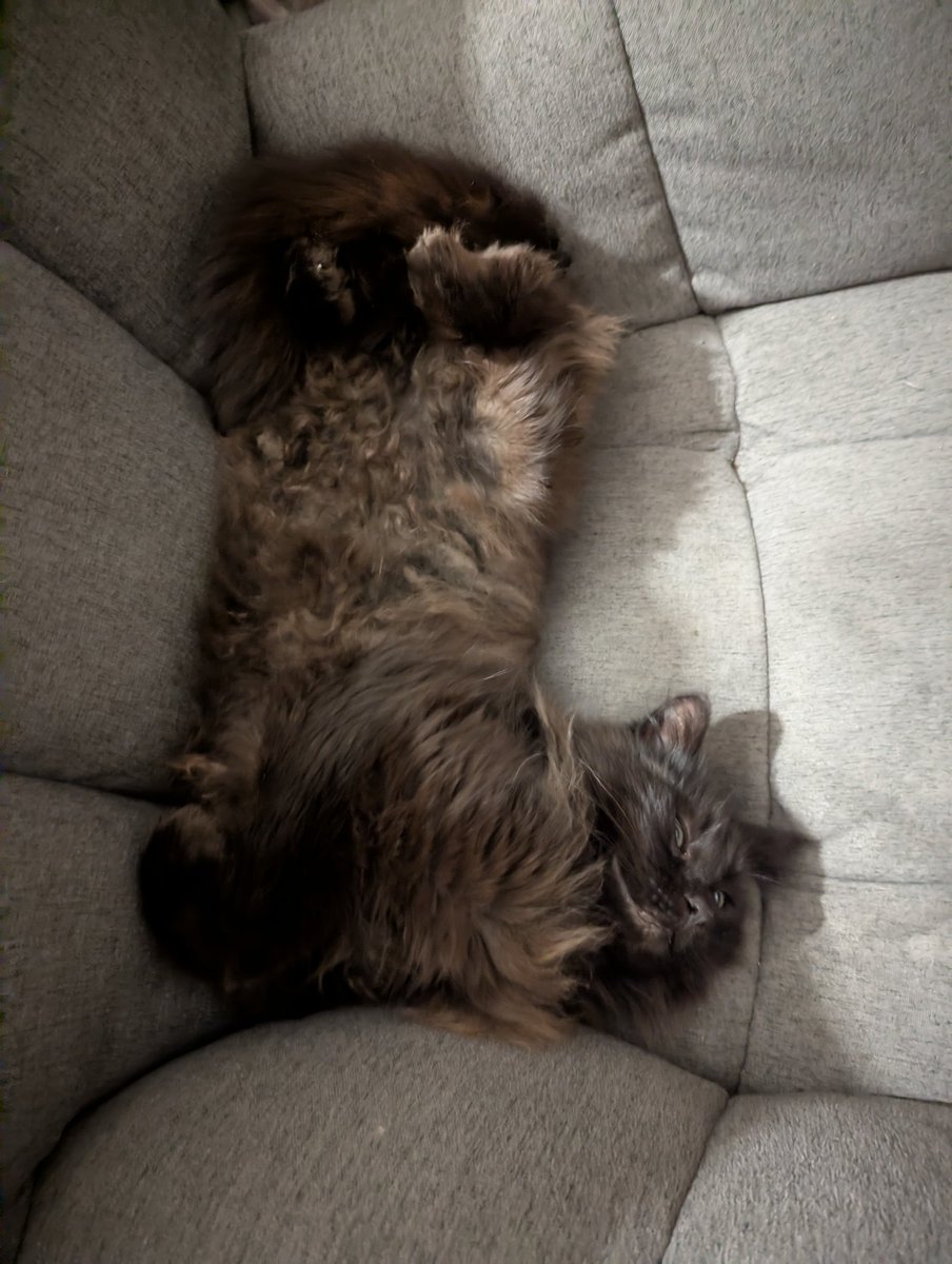 Randymash tweet media