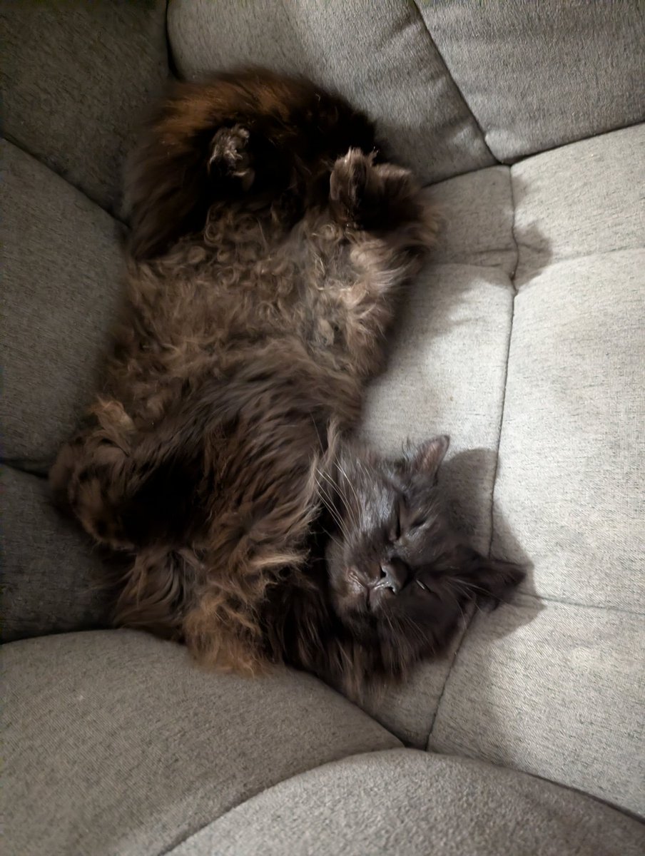 Randymash tweet media