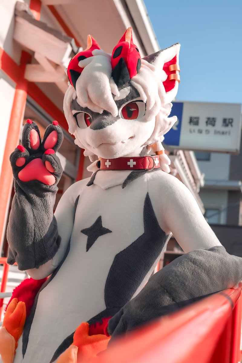 Inu (零犬) tweet media