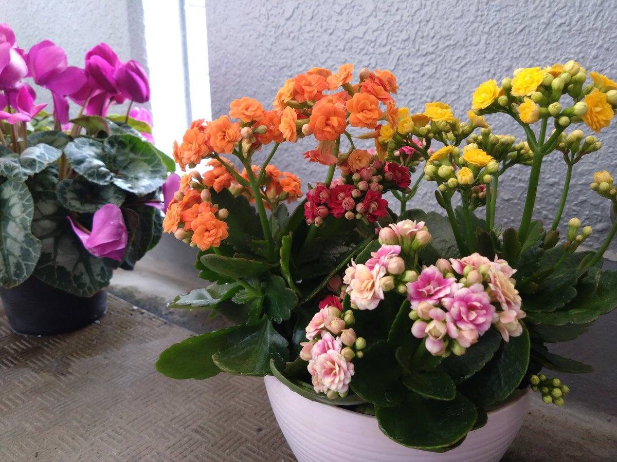 エロティックな7分間 tweet media