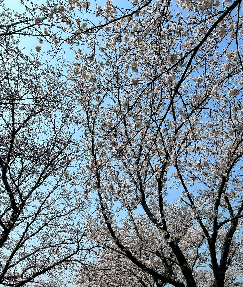 みお｜25歳OLの資産形成 tweet media