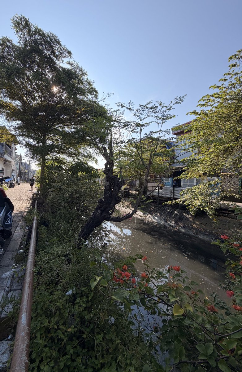 ℍ𝕊𝔸𝕪🐼 tweet media