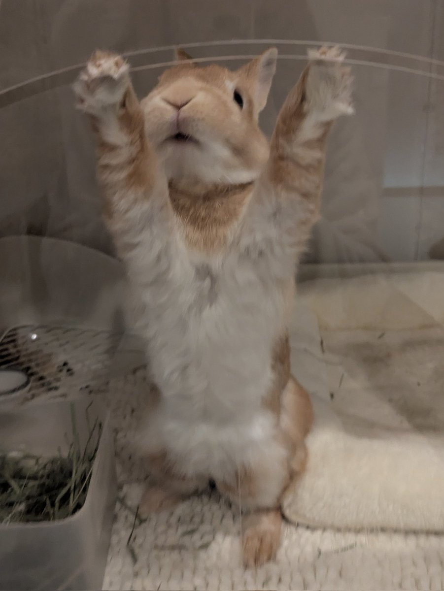 (ラグ) tweet media