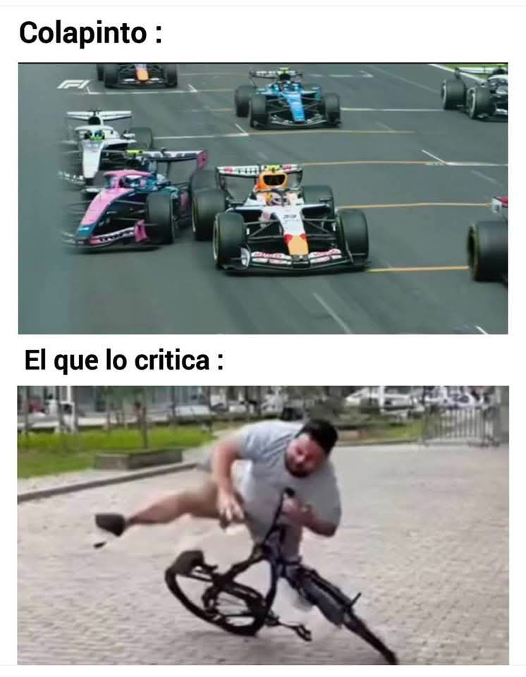 el oso bandolero tweet media