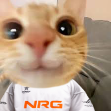 NRG Shock tweet media