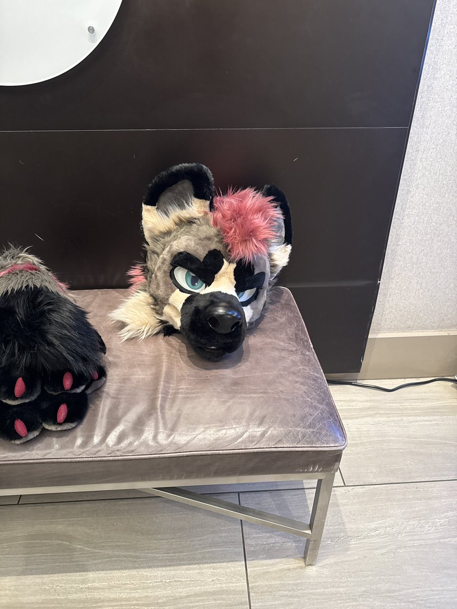 Jason 🏳️‍🌈 🔜 TFF tweet media