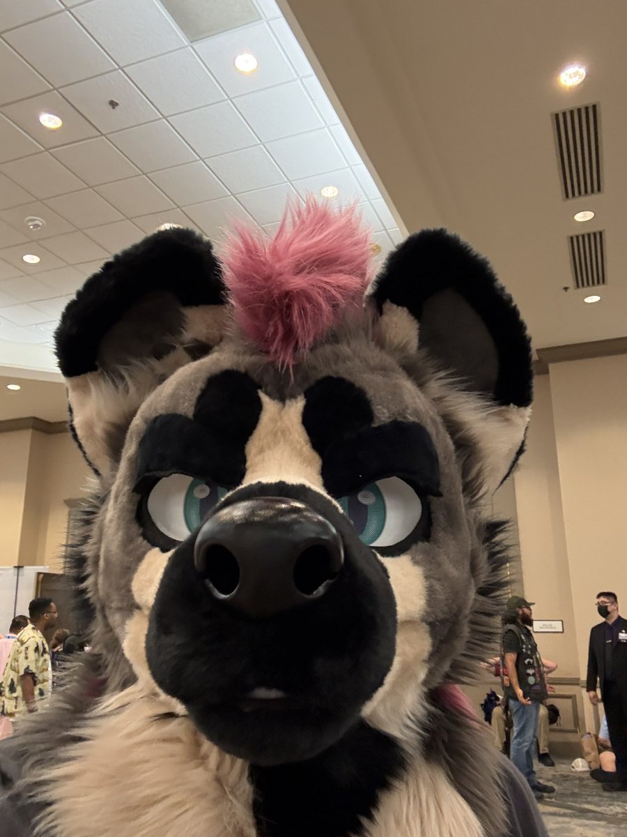 Jason 🏳️‍🌈 🔜 TFF tweet media