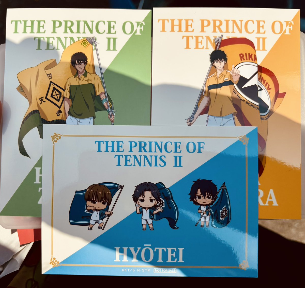 キマイ🎾🎣🌵🌸❄️⚜️ tweet media