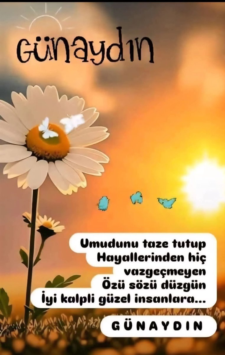 kskliserkan35's tweet photo. https://t.co/kIbGT50tQT