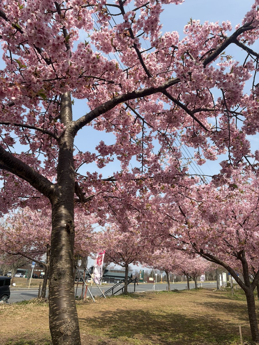 しょぼ tweet media