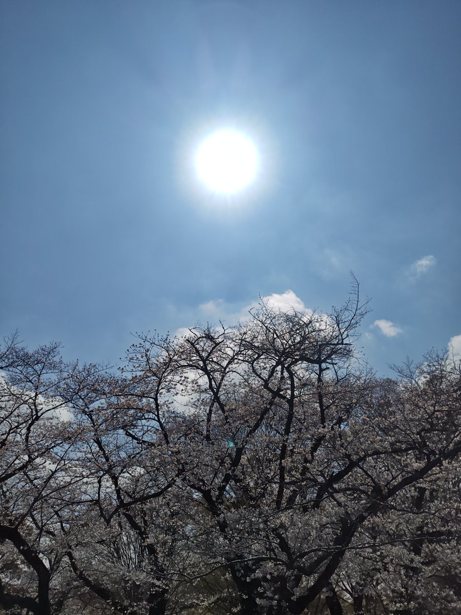 TOSHIHIRO ARAKI tweet media