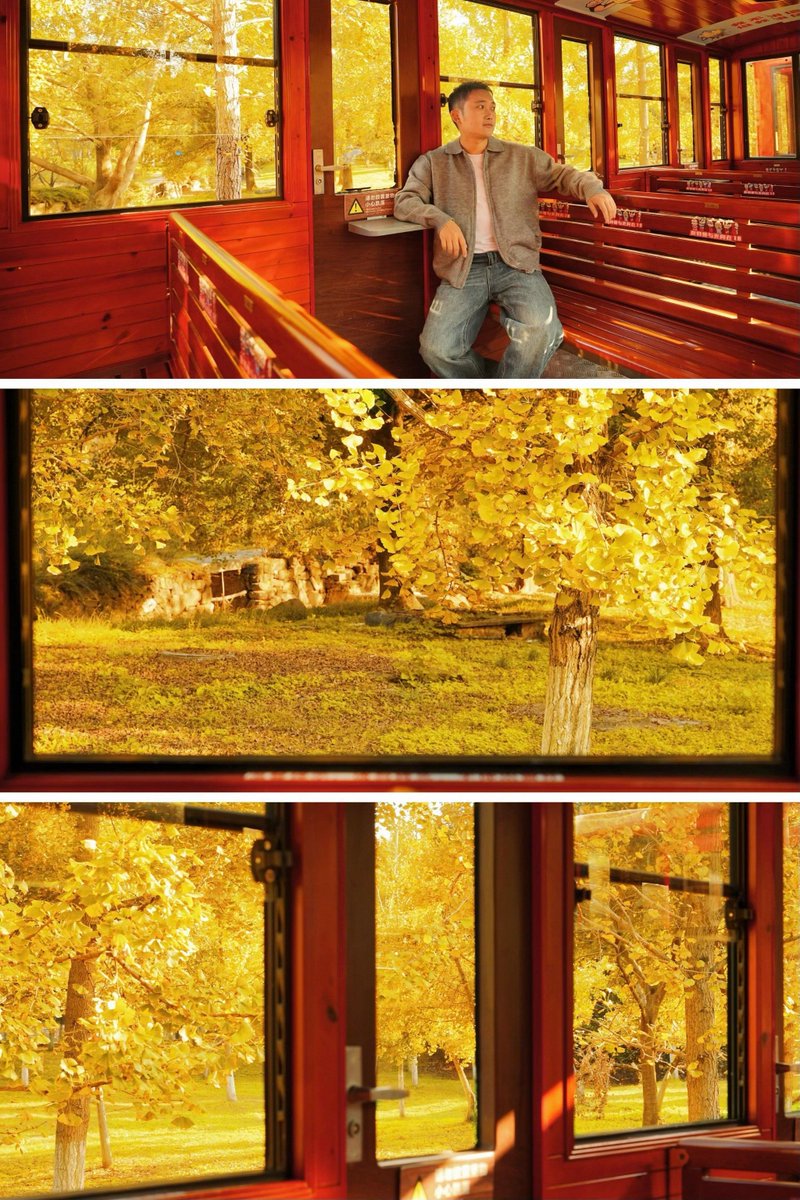 Ifeanyi Darlington tweet media