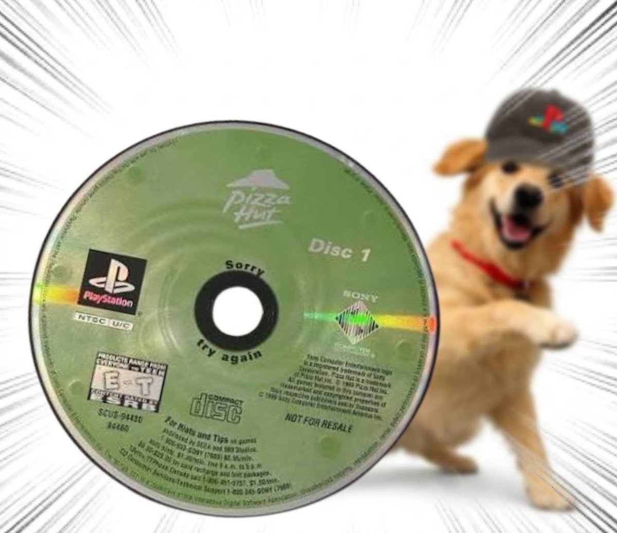 Throwing Things Daily tweet media