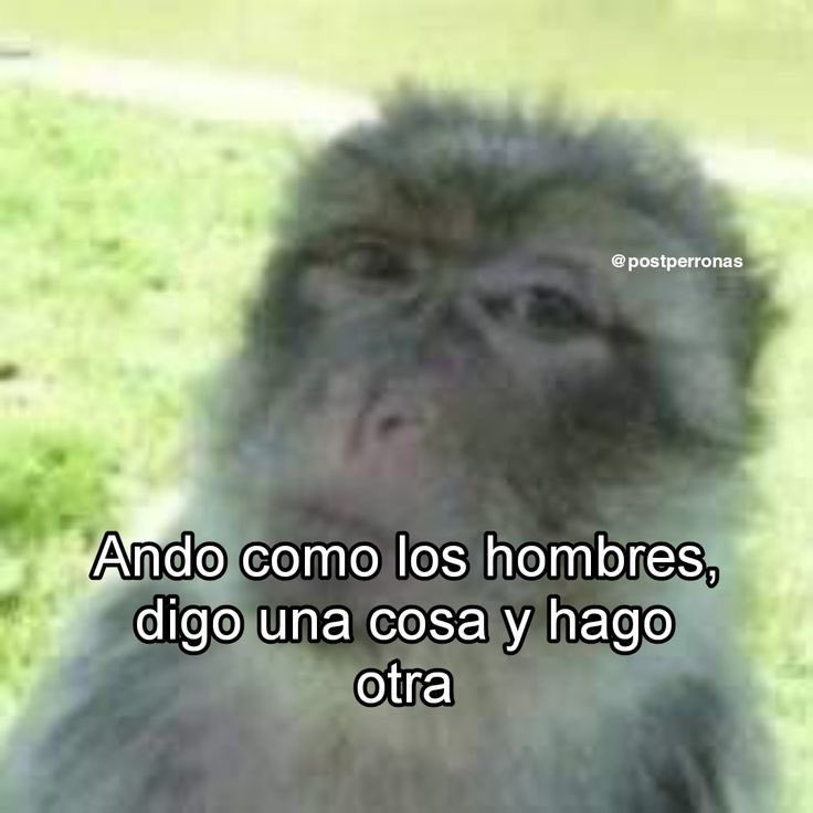 Andreina🇻🇪 tweet media