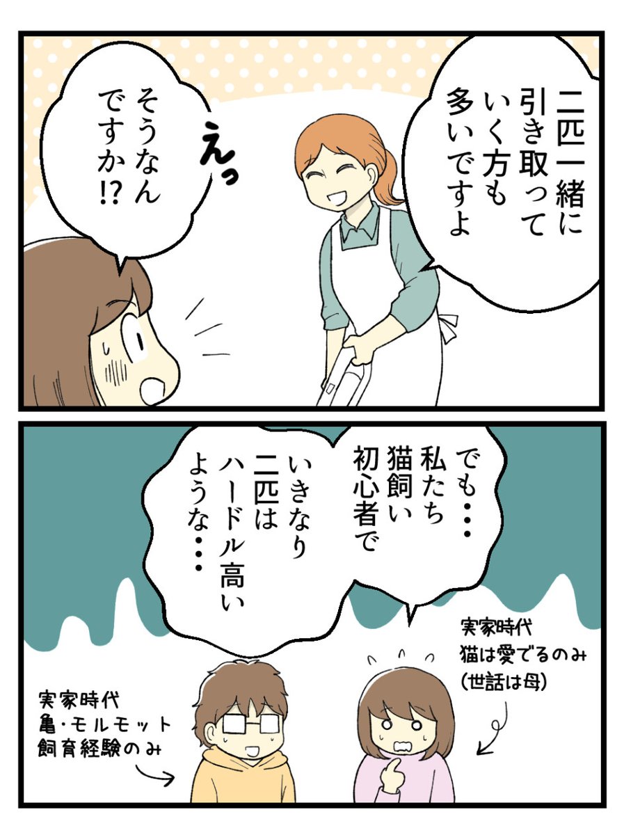 (5/5) 