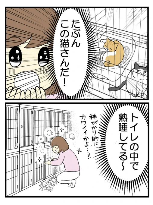(2/5) 
