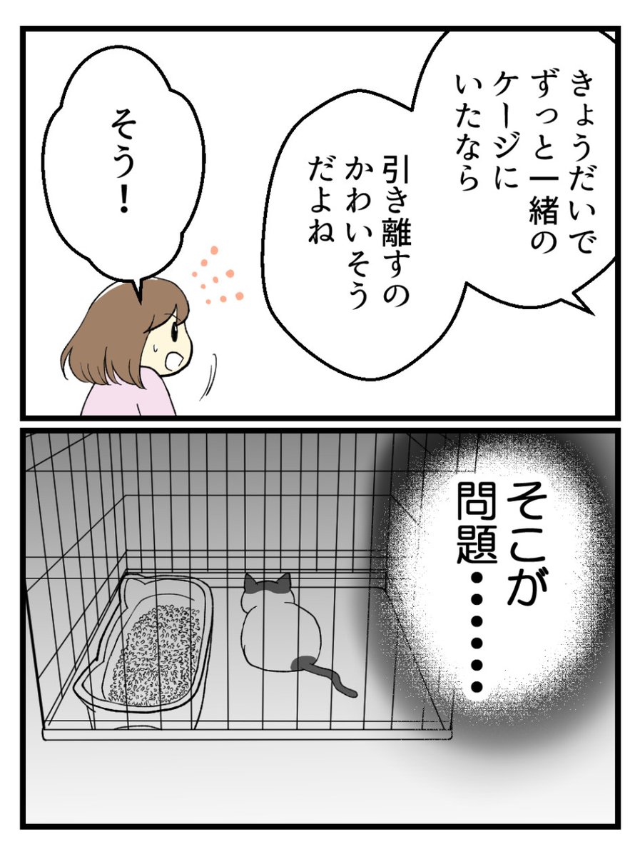 (4/5) 