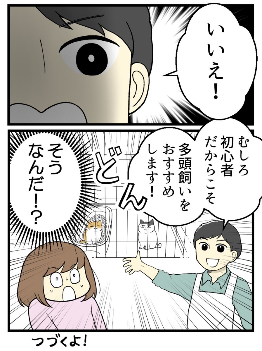 (5/5) 
