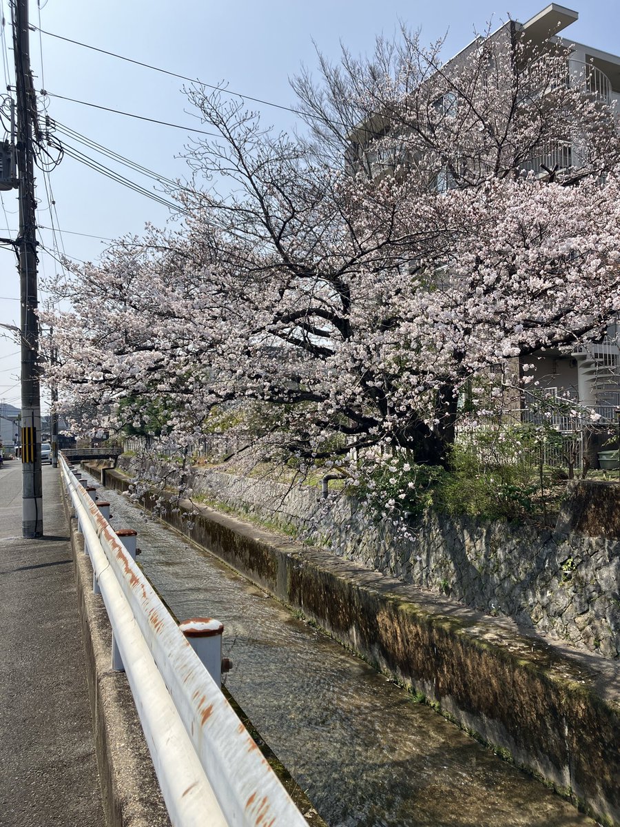 池田剛介 Kosuke Ikeda tweet media