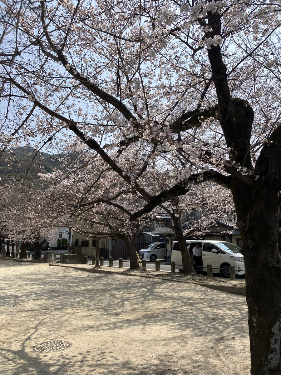 池田剛介 Kosuke Ikeda tweet media