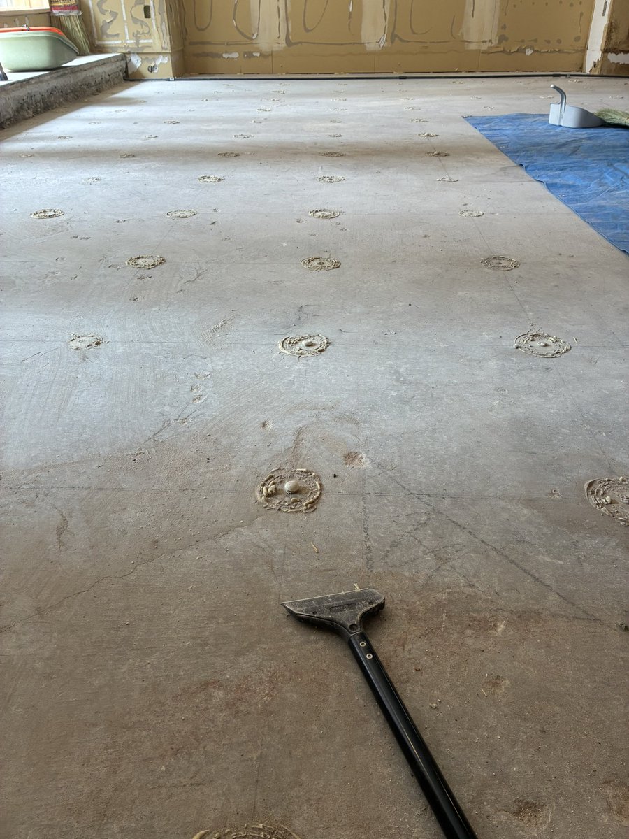 노아 ໒꒱·̩͙ tweet media