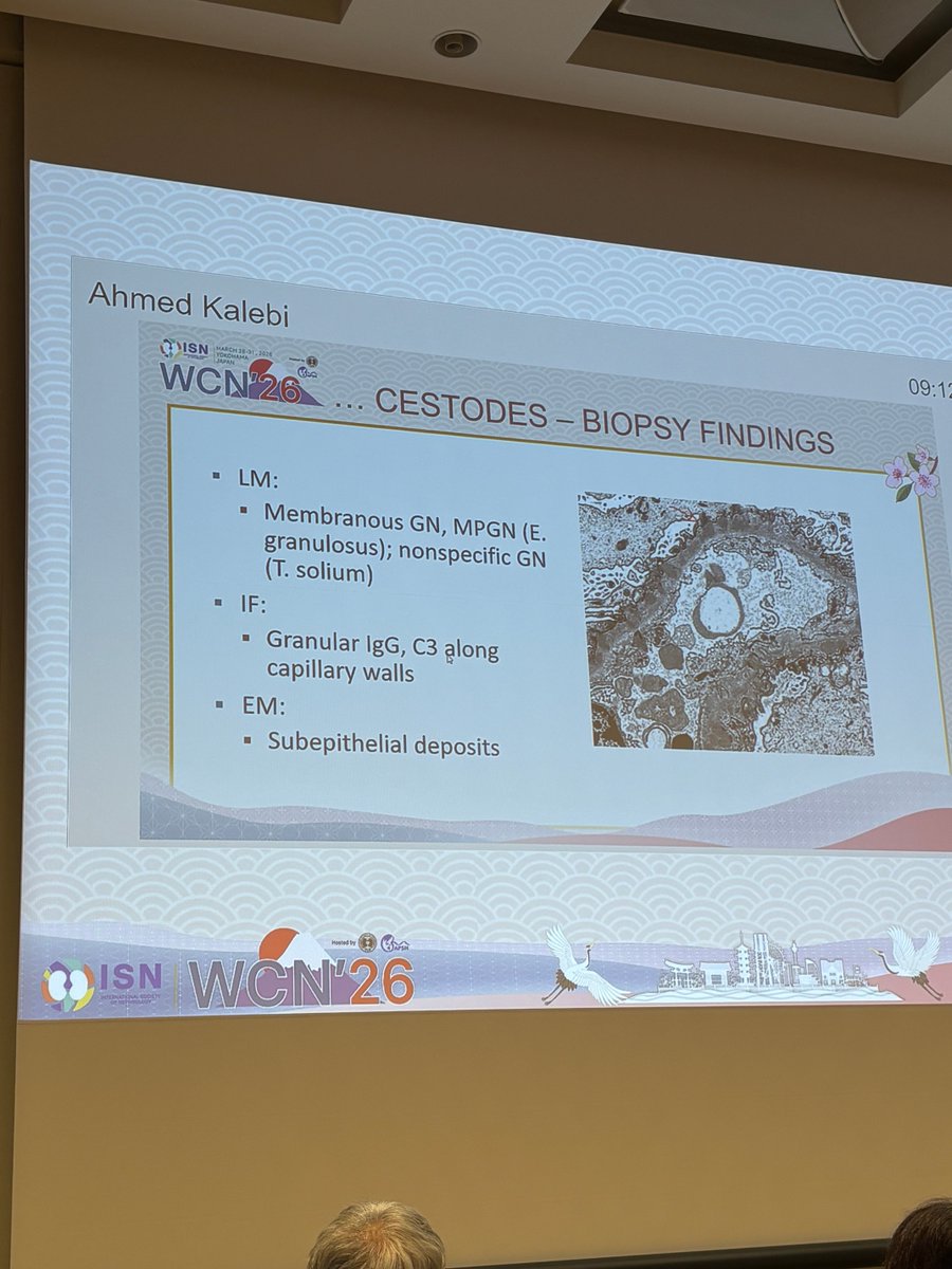 International Society of Glomerular Disease tweet media