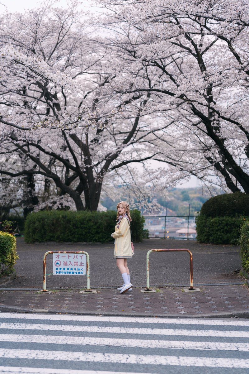 𝟕𝟕𝟕🦋🫧 tweet media