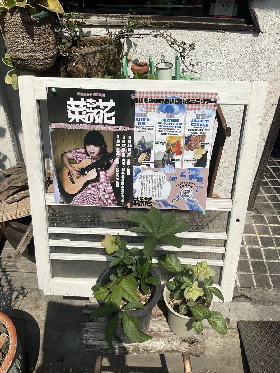 にこちゃん堂 tweet media