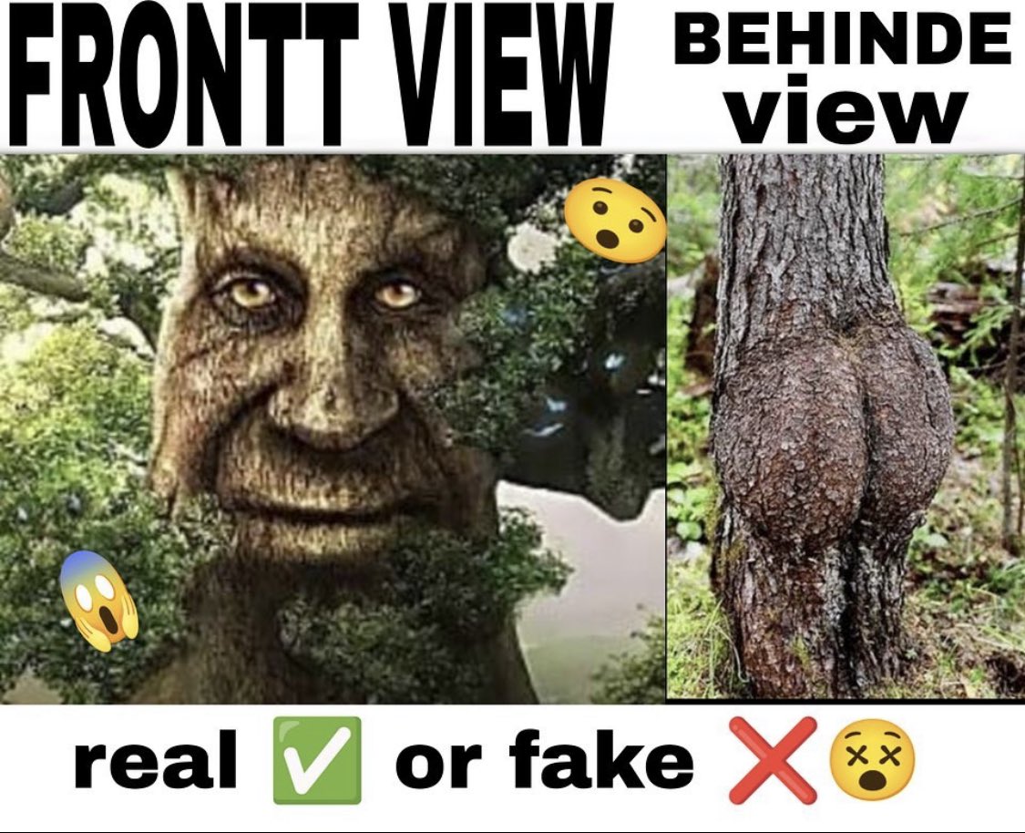 Sylvie the Sylveon!!!! 🎀 tweet media