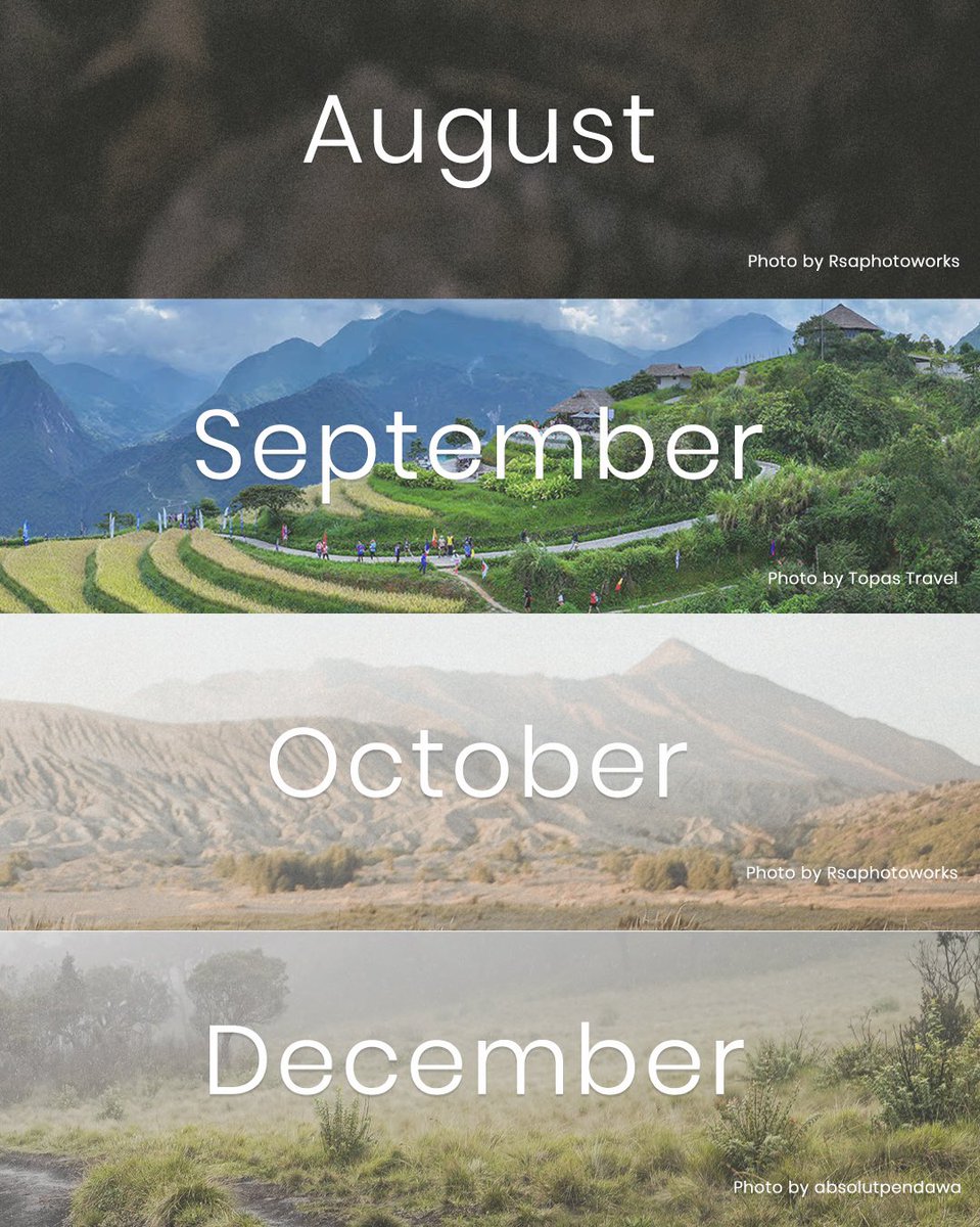 twtmarathon tweet media