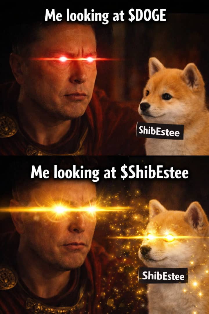 Star Lady🌟⭐🌟 tweet media