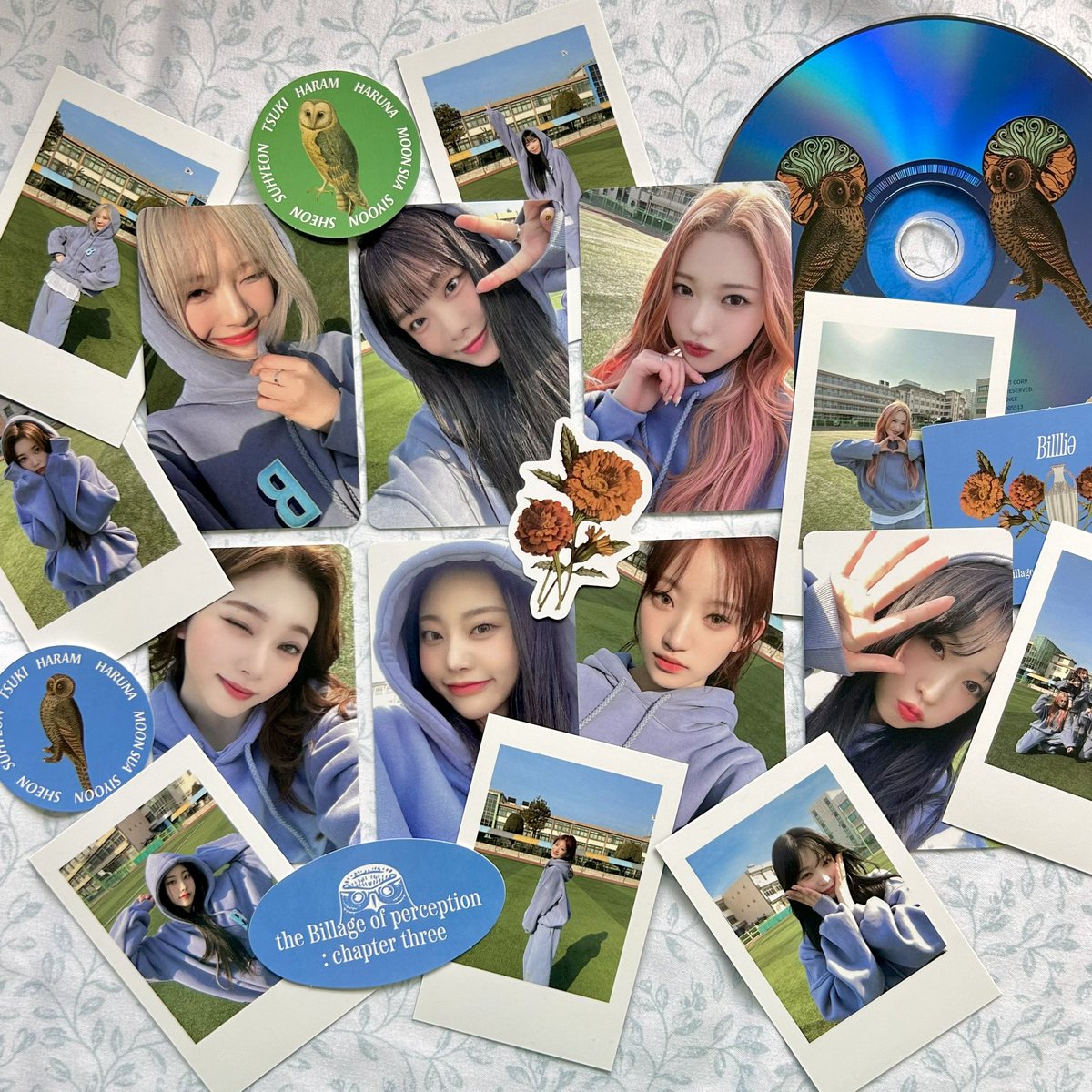 elise! ☁️🏰 tweet media