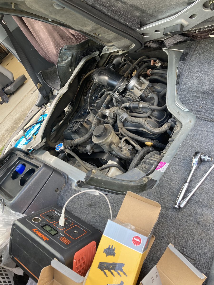 むちゅう tweet media