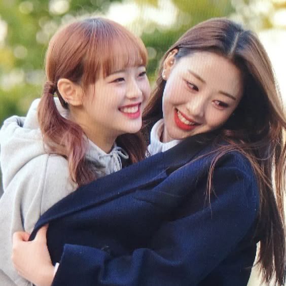 chris novia de cata tweet media