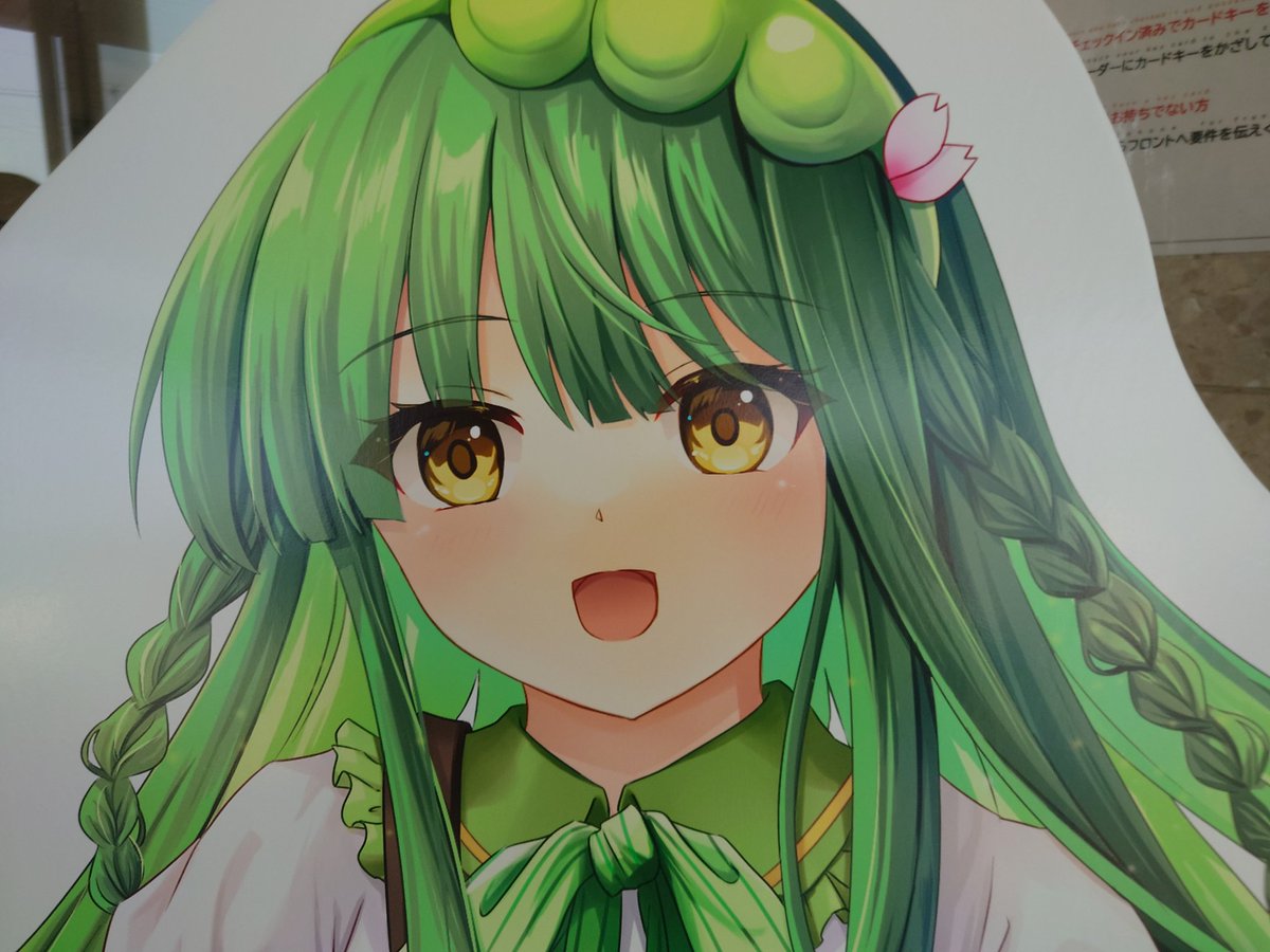 きっちゃん tweet media