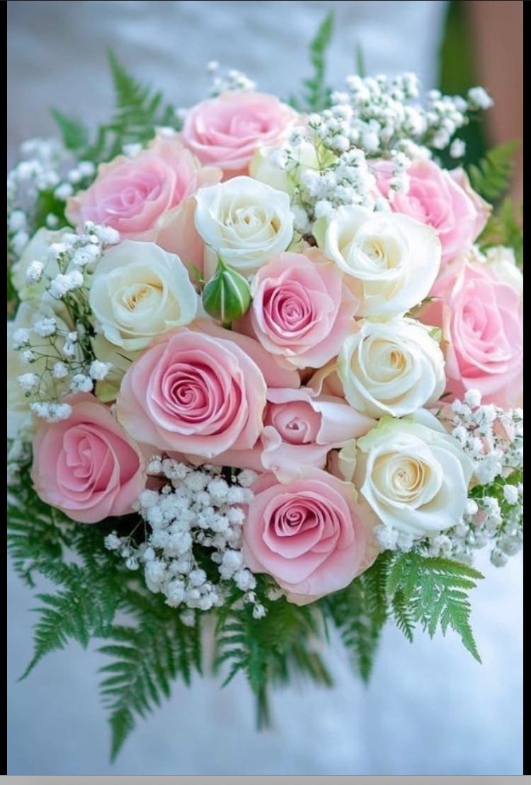 Aslhan🇹🇷💛💙🇹🇷 tweet media