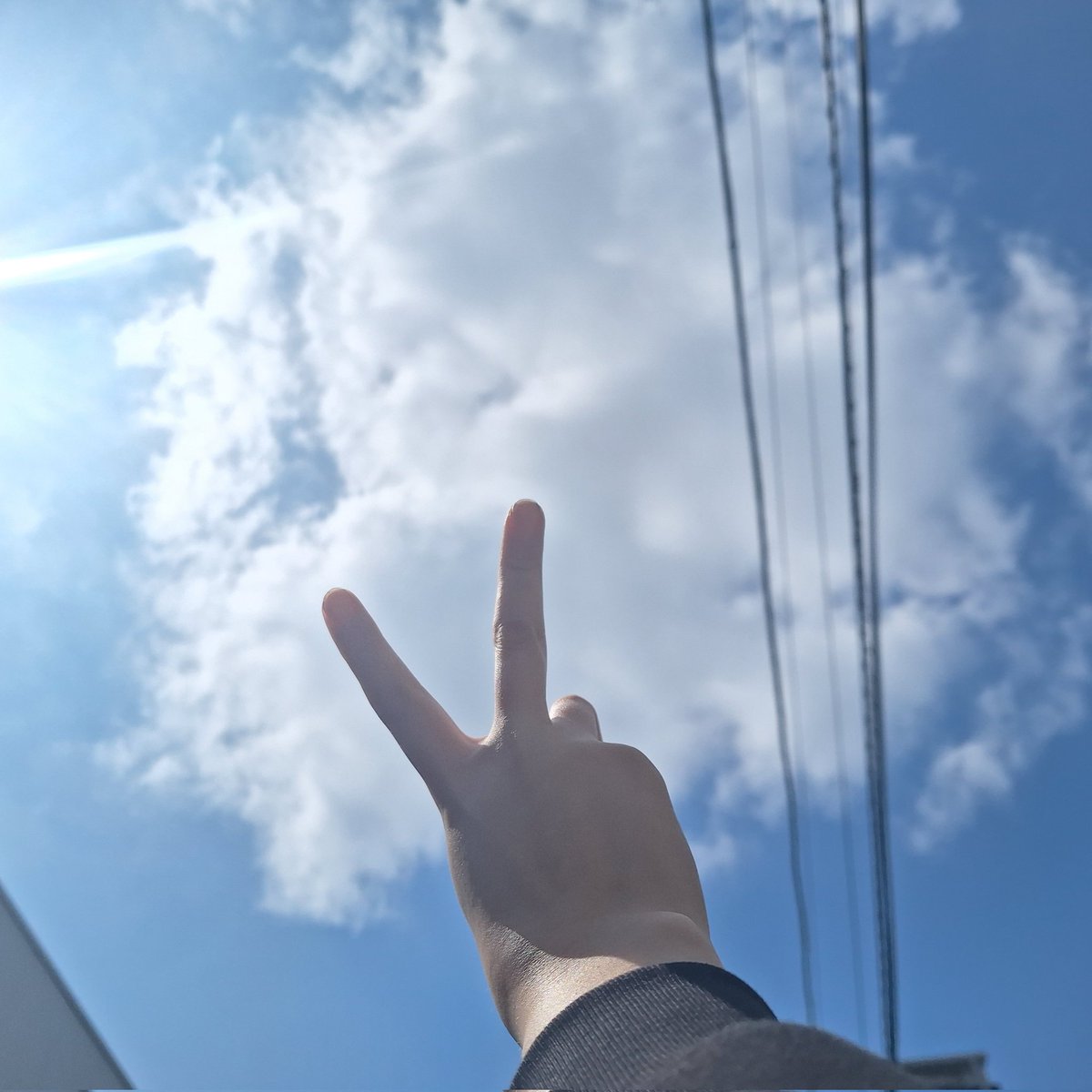 すぎえ むつみ tweet media