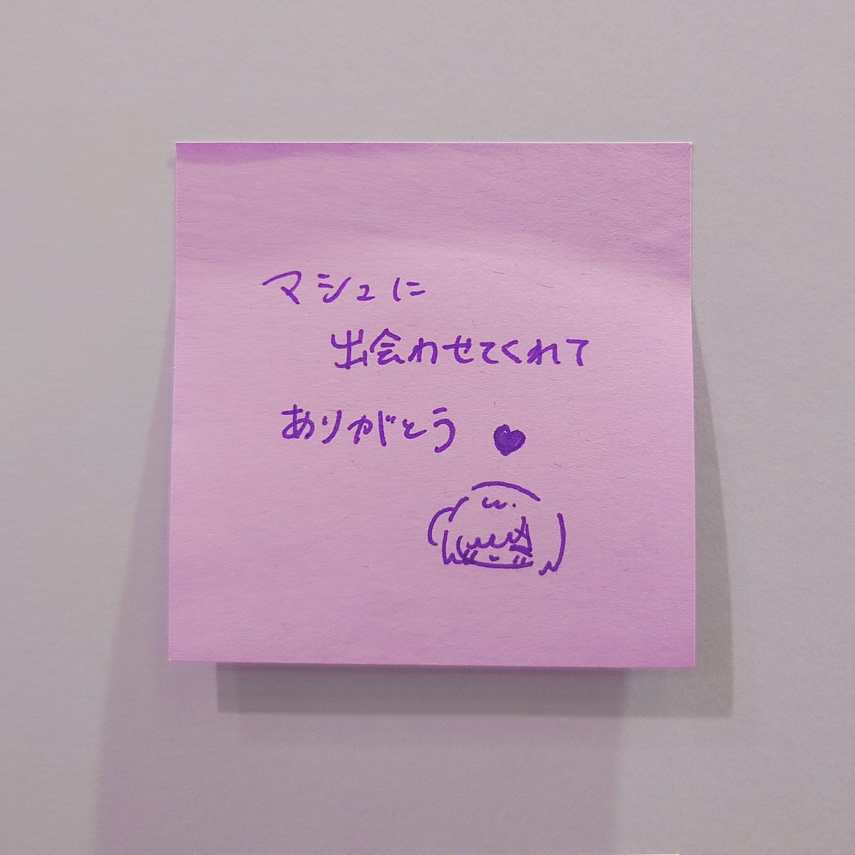 はるかっぱ tweet media