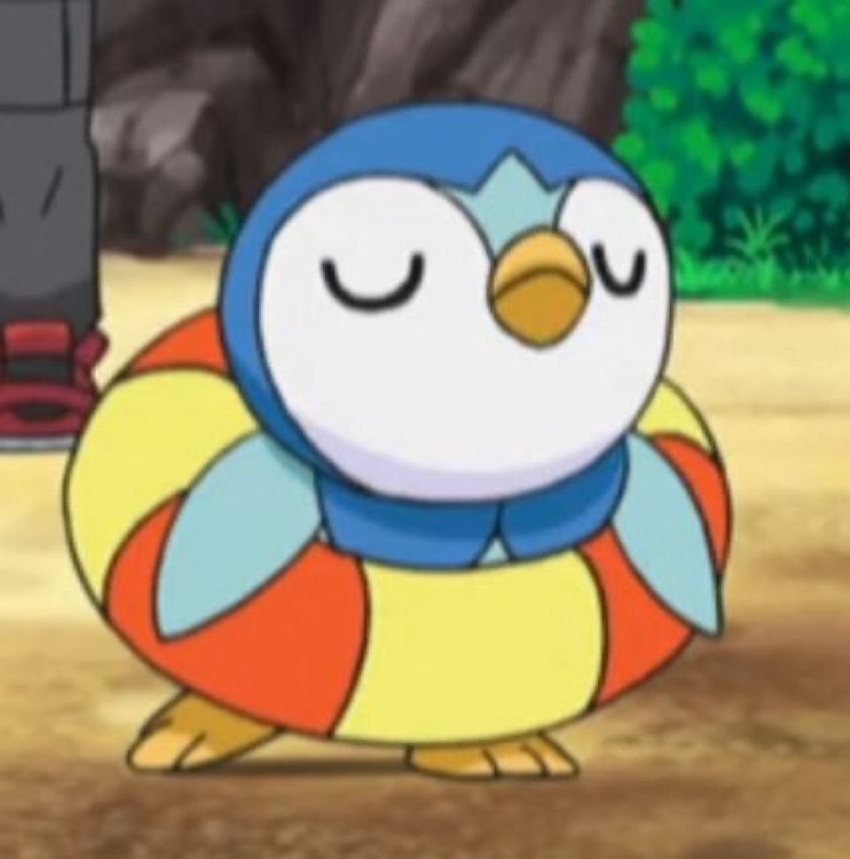 Piplup tweet media