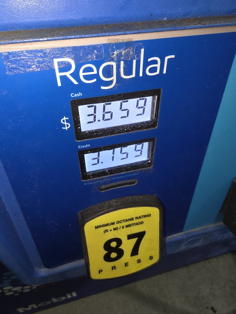 AFluffyBugCat tweet media